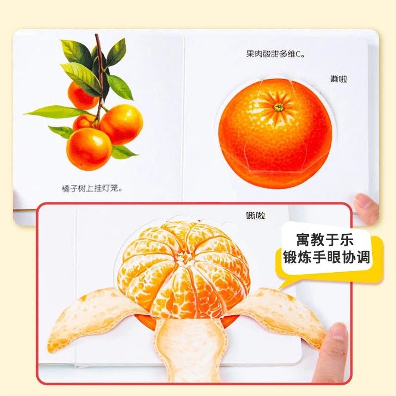 幼児向け食品教育フリップブック - 0～6歳の赤ちゃん向けの - Baby Food Age のレビューと価格